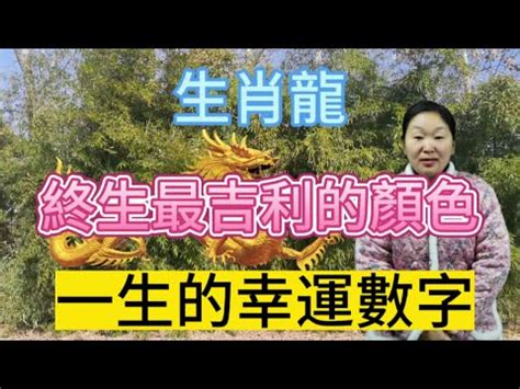 八字 幸運數字|幸運數字查詢